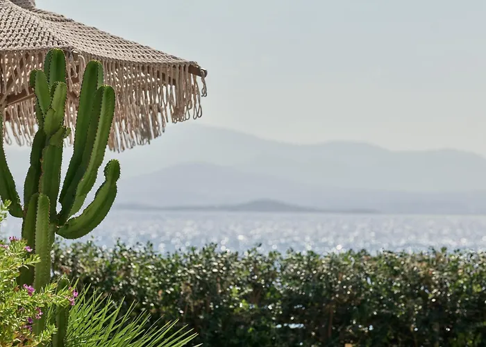 Mando Seaside ناوسا